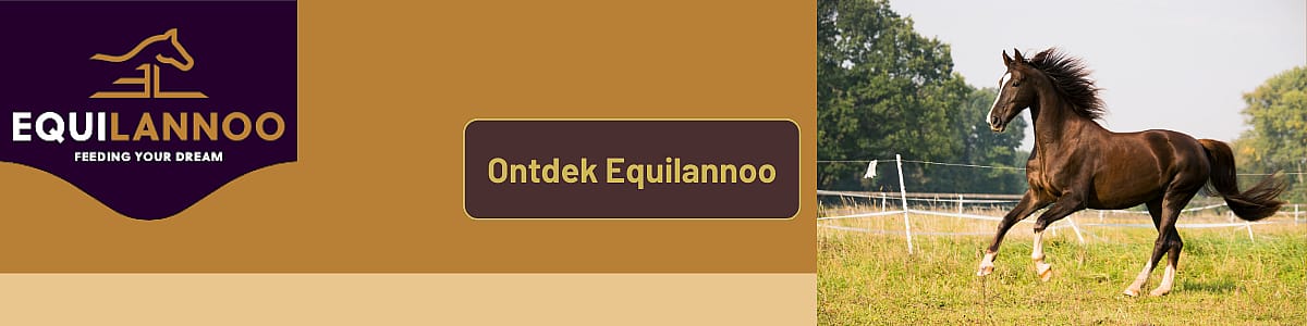 Dier, Colt Horse, Paard, Zoogdier